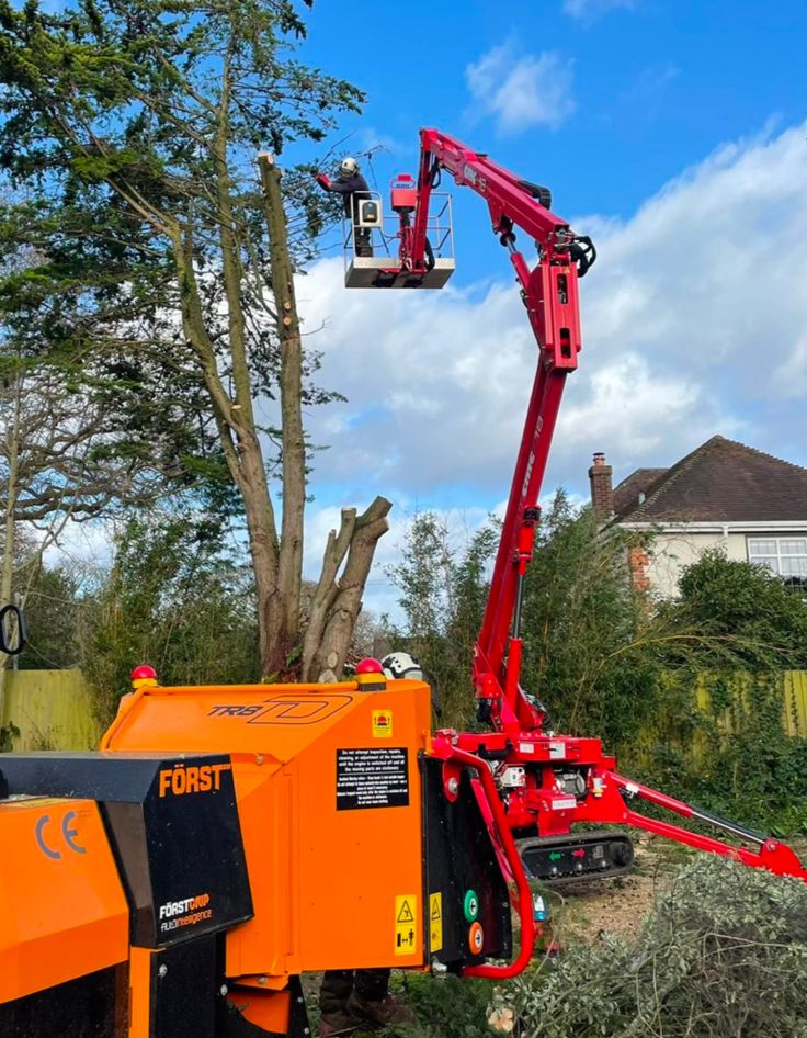 Westbeams, tree specialists carrying out work in Brockenhurst.
